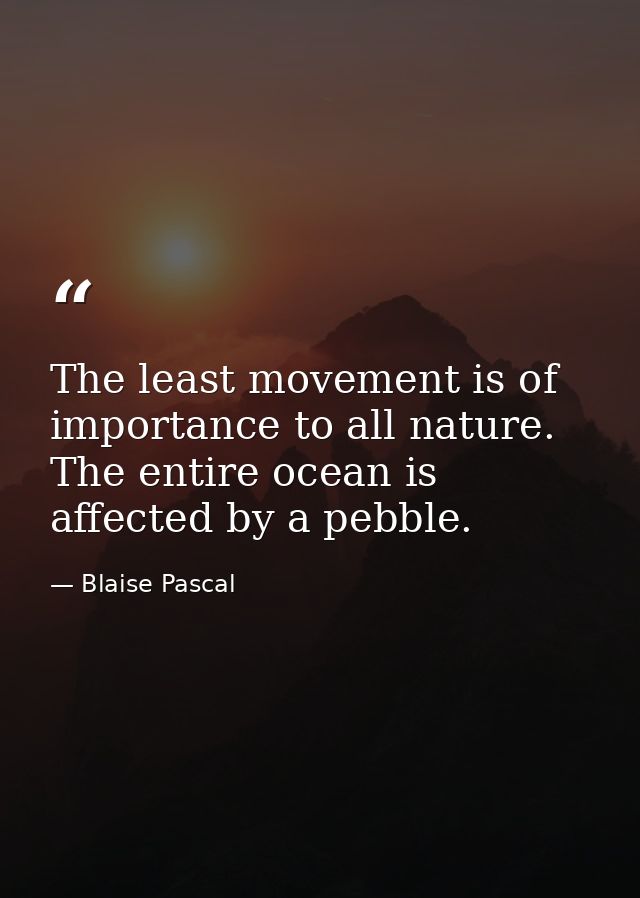 The least movement is of importance to all nature. The entire ocean is affected by a pebble. — Blaise Pascal