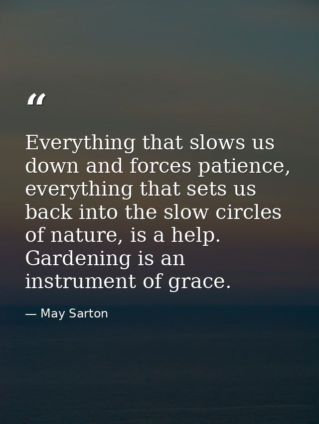 Everything that slows us down and forces patience, everything that sets us back into the slow circles of nature, is a he — May Sarton