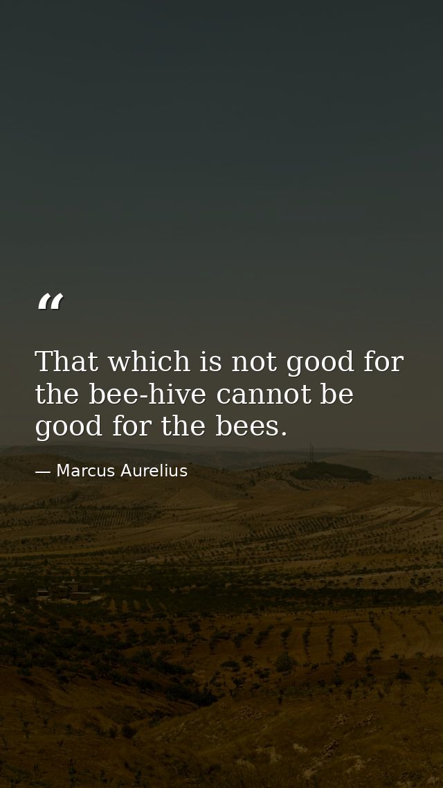That which is not good for the bee-hive cannot be good for the bees. — Marcus Aurelius