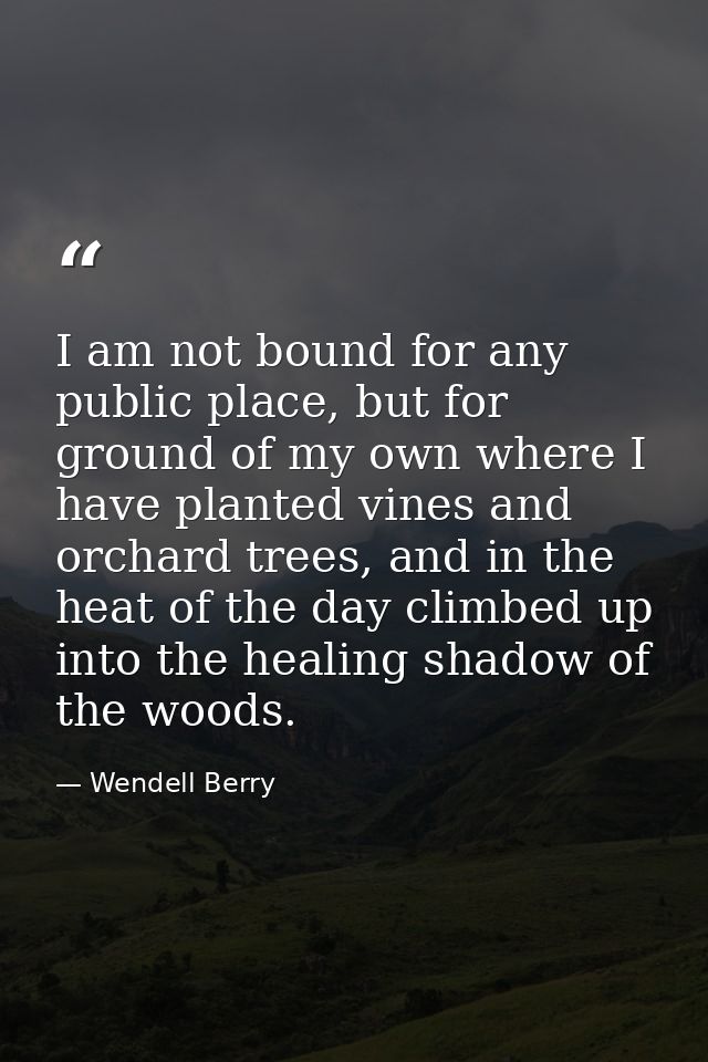 I am not bound for any public place, but for ground of my own where I have planted vines and orchard trees, and in the h — Wendell Berry