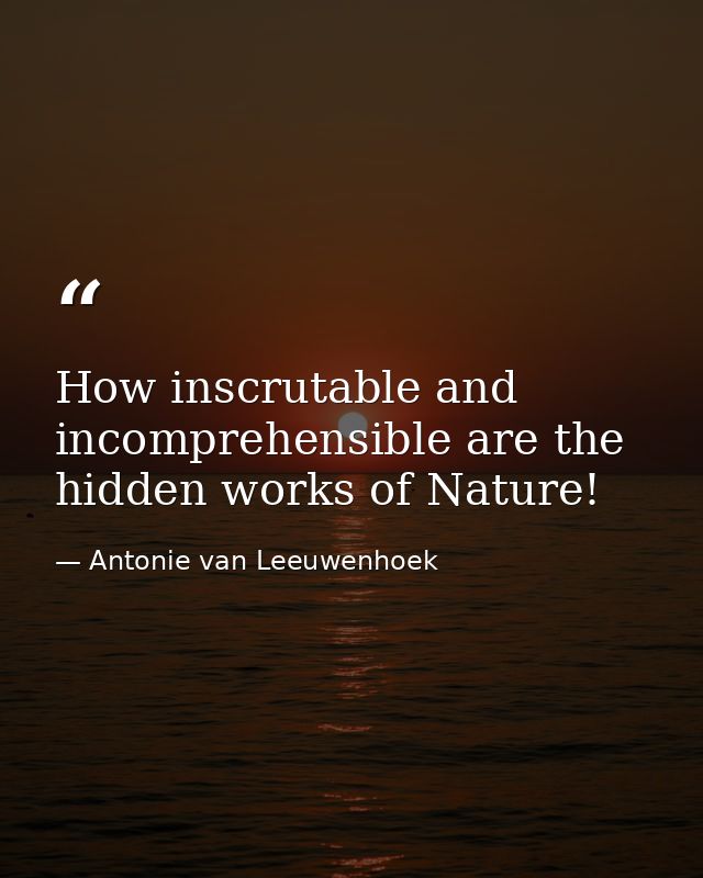 How inscrutable and incomprehensible are the hidden works of Nature! — Antonie van Leeuwenhoek