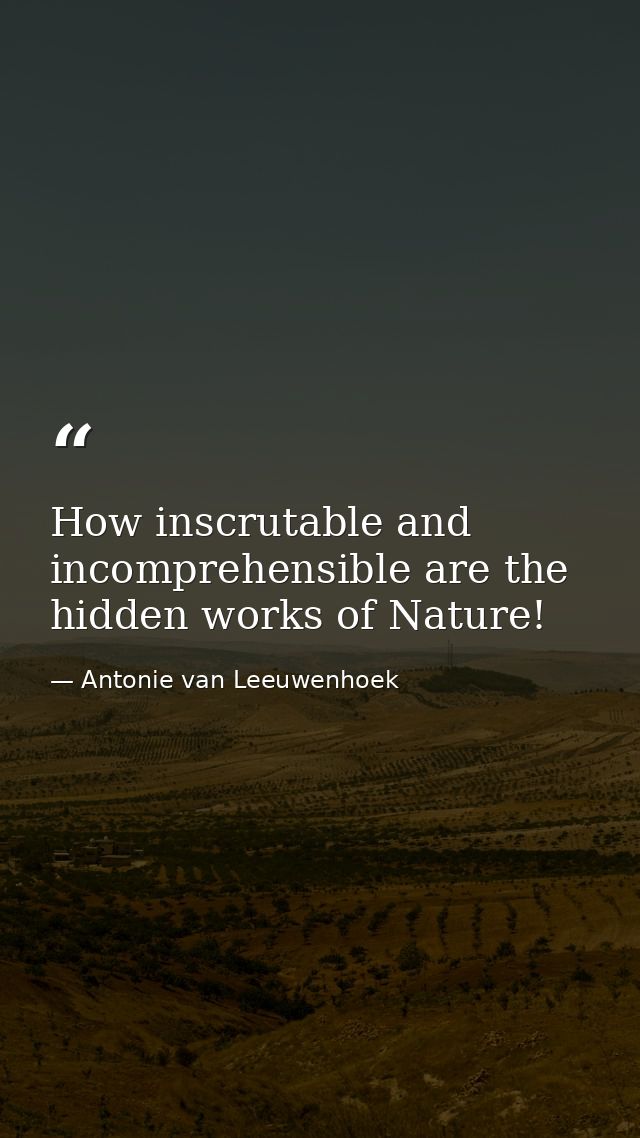 How inscrutable and incomprehensible are the hidden works of Nature! — Antonie van Leeuwenhoek