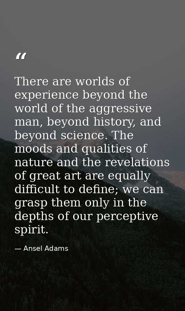 There are worlds of experience beyond the world of the aggressive man, beyond history, and beyond science. The moods and — Ansel Adams