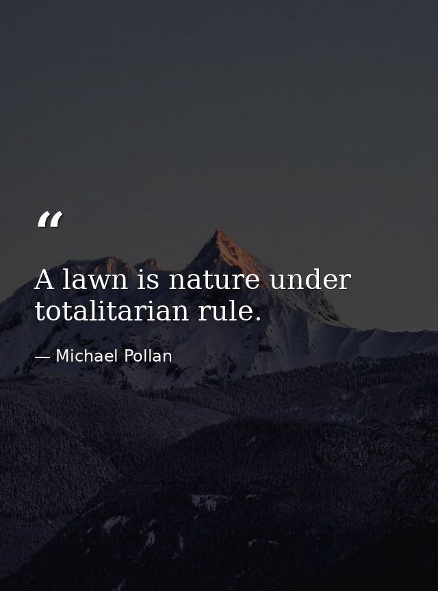 A lawn is nature under totalitarian rule. — Michael Pollan
