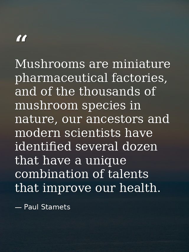 Mushrooms are miniature pharmaceutical factories, and of the thousands of mushroom species in nature, our ancestors and  — Paul Stamets