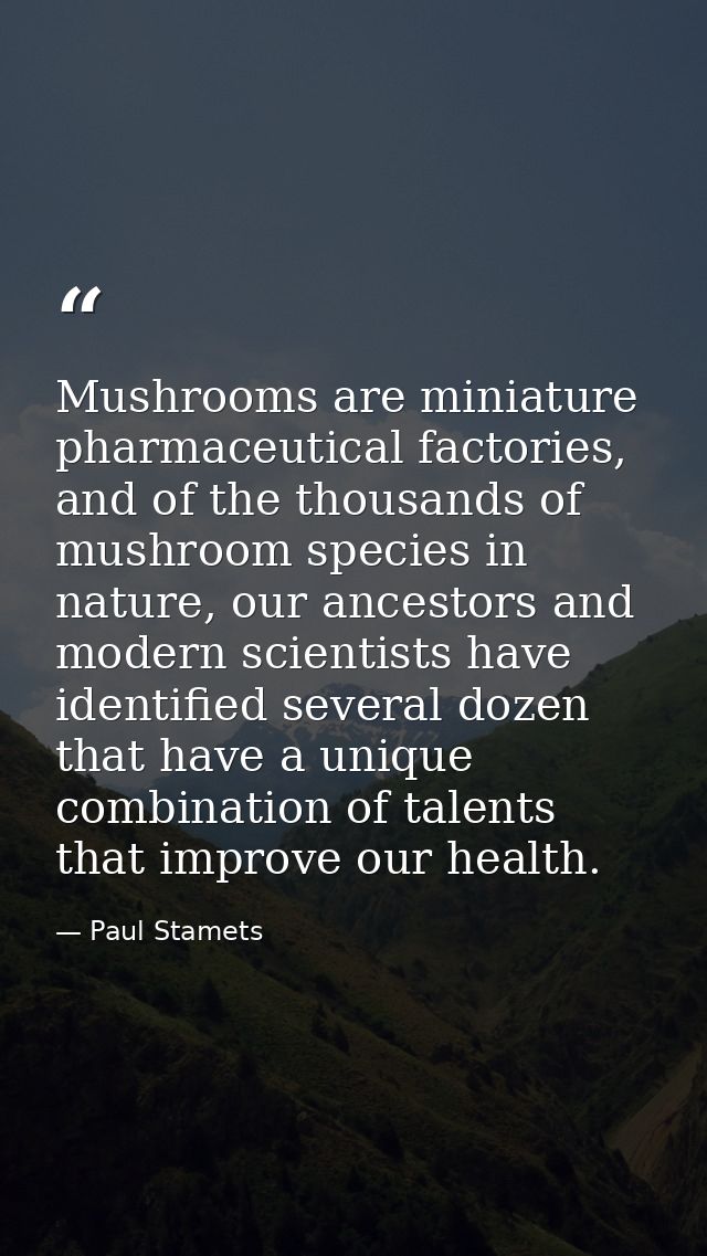 Mushrooms are miniature pharmaceutical factories, and of the thousands of mushroom species in nature, our ancestors and  — Paul Stamets