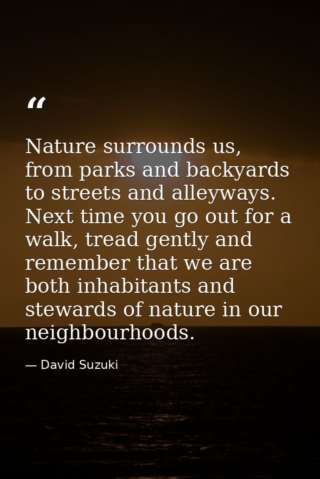 Nature surrounds us, from parks and backyards to streets and alleyways. Next time you go out for a walk, tread gently an — David Suzuki