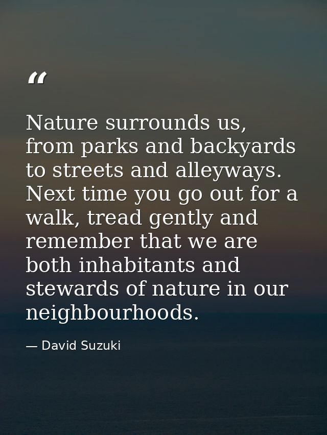 Nature surrounds us, from parks and backyards to streets and alleyways. Next time you go out for a walk, tread gently an — David Suzuki