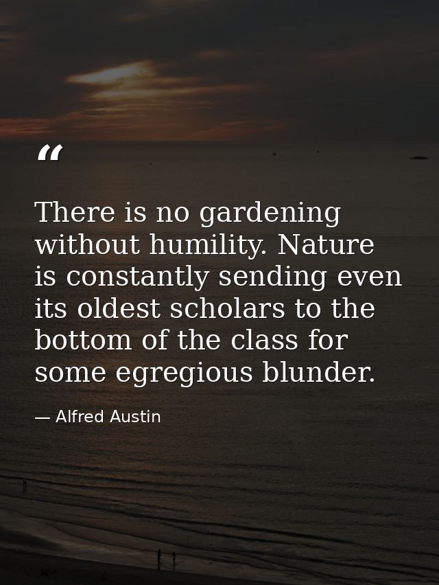 There is no gardening without humility. Nature is constantly sending even its oldest scholars to the bottom of the class — Alfred Austin