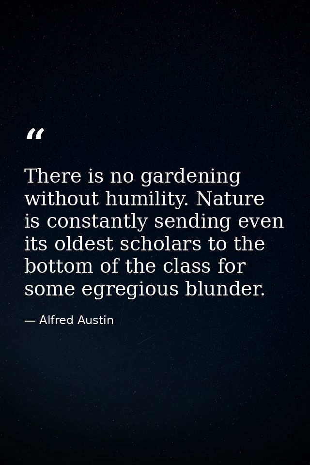 There is no gardening without humility. Nature is constantly sending even its oldest scholars to the bottom of the class — Alfred Austin