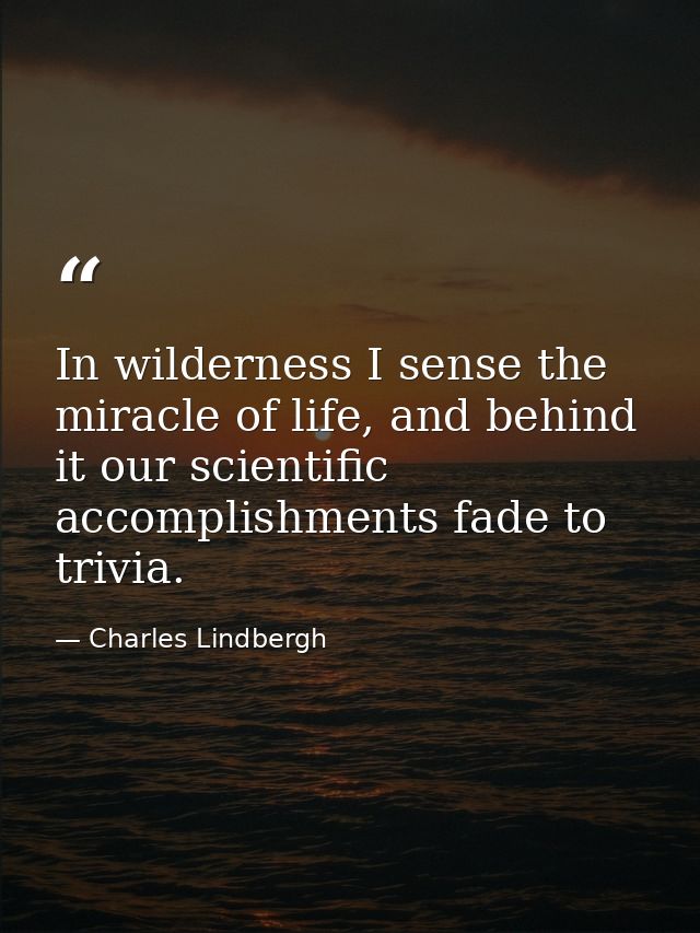 In wilderness I sense the miracle of life, and behind it our scientific accomplishments fade to trivia. — Charles Lindbergh