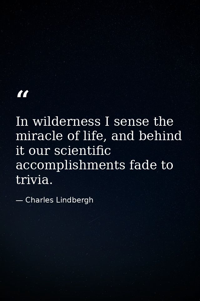 In wilderness I sense the miracle of life, and behind it our scientific accomplishments fade to trivia. — Charles Lindbergh