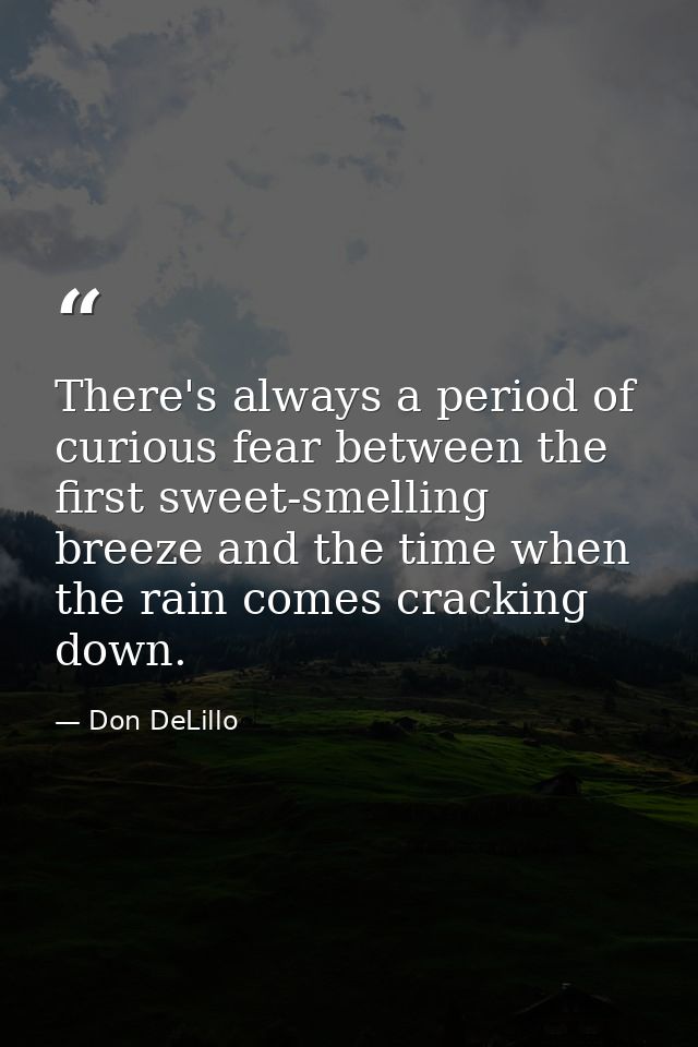 There's always a period of curious fear between the first sweet-smelling breeze and the time when the rain comes crackin — Don DeLillo