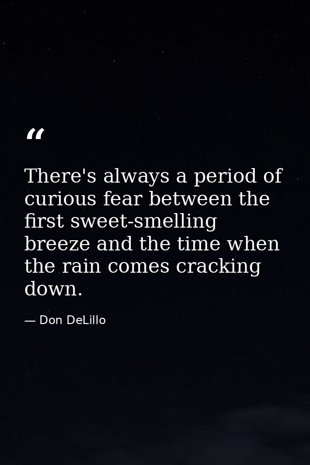 There's always a period of curious fear between the first sweet-smelling breeze and the time when the rain comes crackin — Don DeLillo