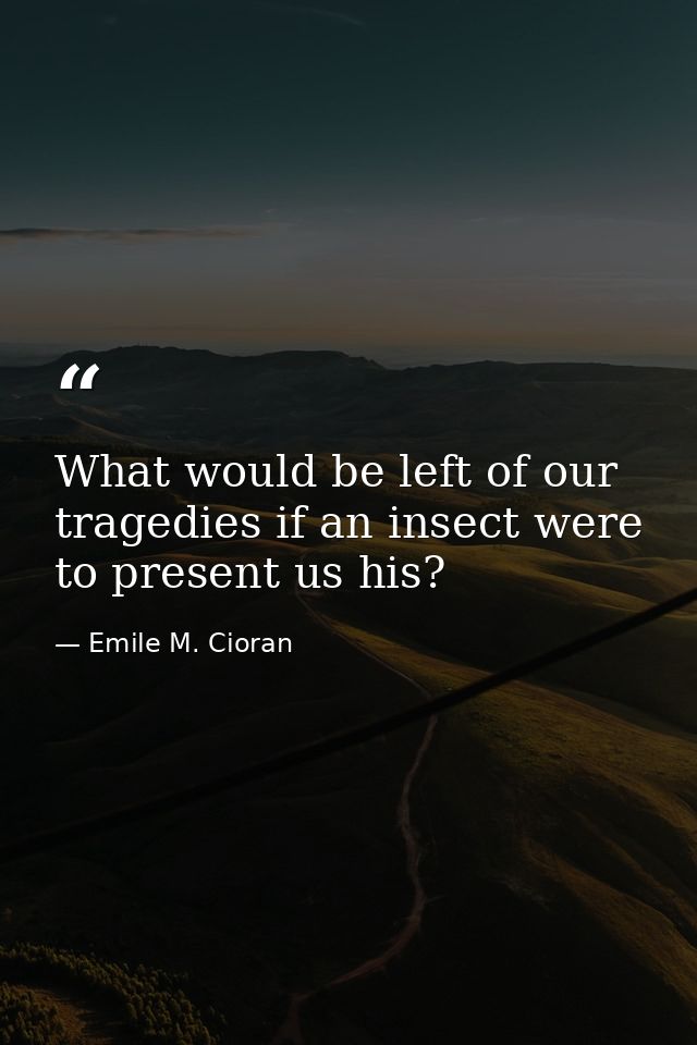 What would be left of our tragedies if an insect were to present us his? — Emile M. Cioran
