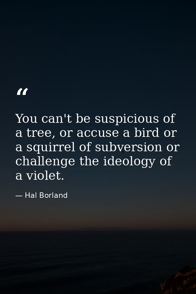 You can't be suspicious of a tree, or accuse a bird or a squirrel of subversion or challenge the ideology of a violet. — Hal Borland