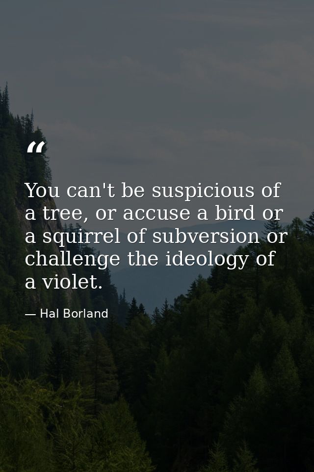 You can't be suspicious of a tree, or accuse a bird or a squirrel of subversion or challenge the ideology of a violet. — Hal Borland
