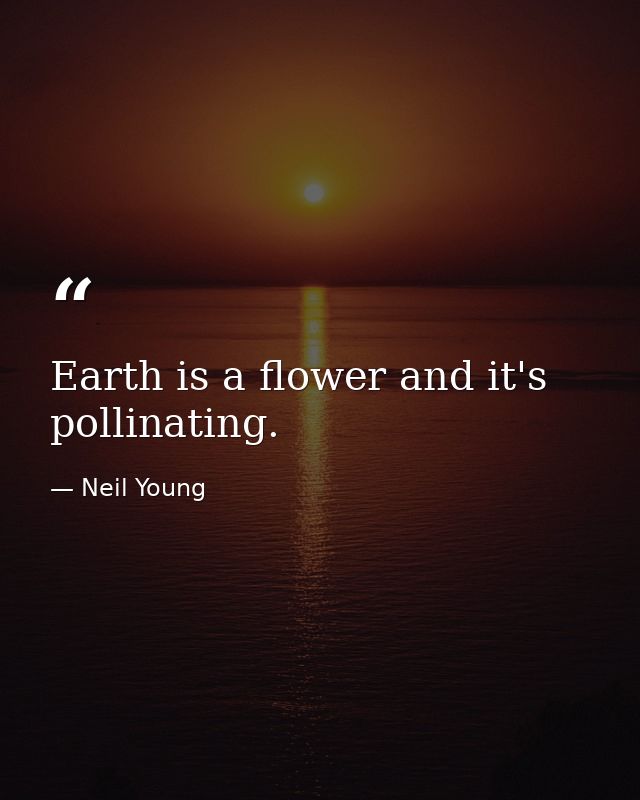 Earth is a flower and it's pollinating. — Neil Young