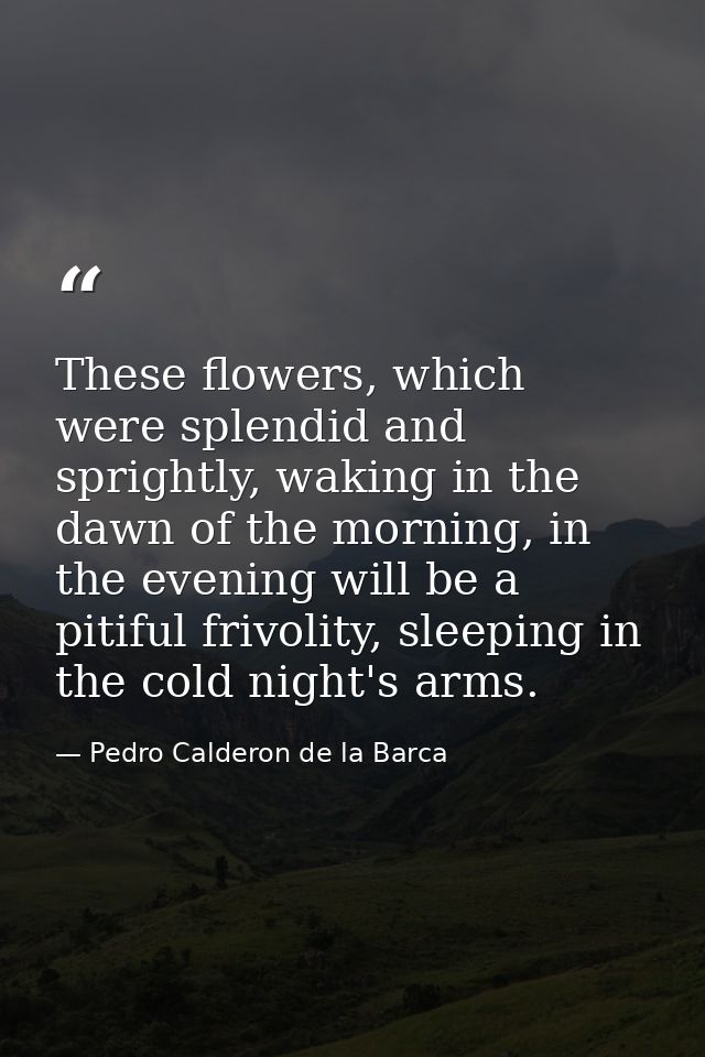 These flowers, which were splendid and sprightly, waking in the dawn of the morning, in the evening will be a pitiful fr — Pedro Calderon de la Barca