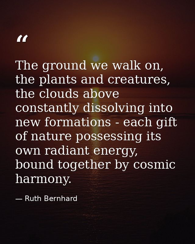 The ground we walk on, the plants and creatures, the clouds above constantly dissolving into new formations - each gift  — Ruth Bernhard