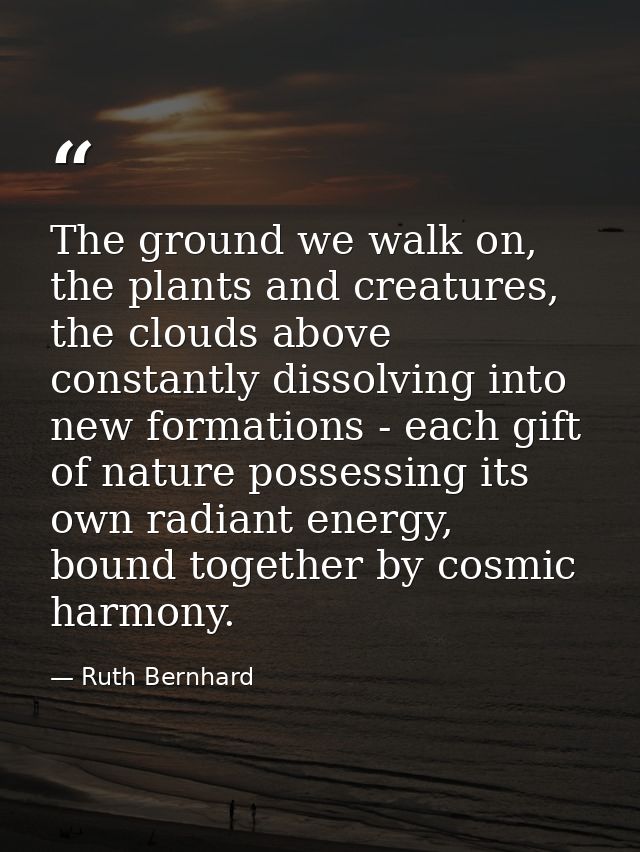 The ground we walk on, the plants and creatures, the clouds above constantly dissolving into new formations - each gift  — Ruth Bernhard