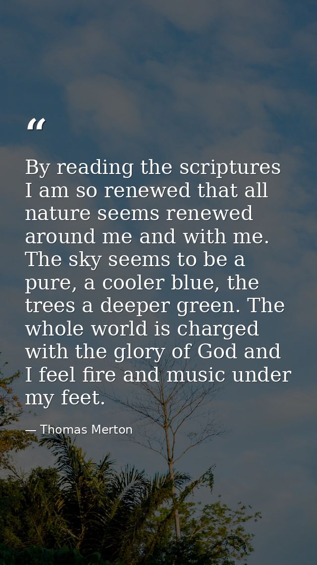 By reading the scriptures I am so renewed that all nature seems renewed around me and with me. The sky seems to be a pur — Thomas Merton