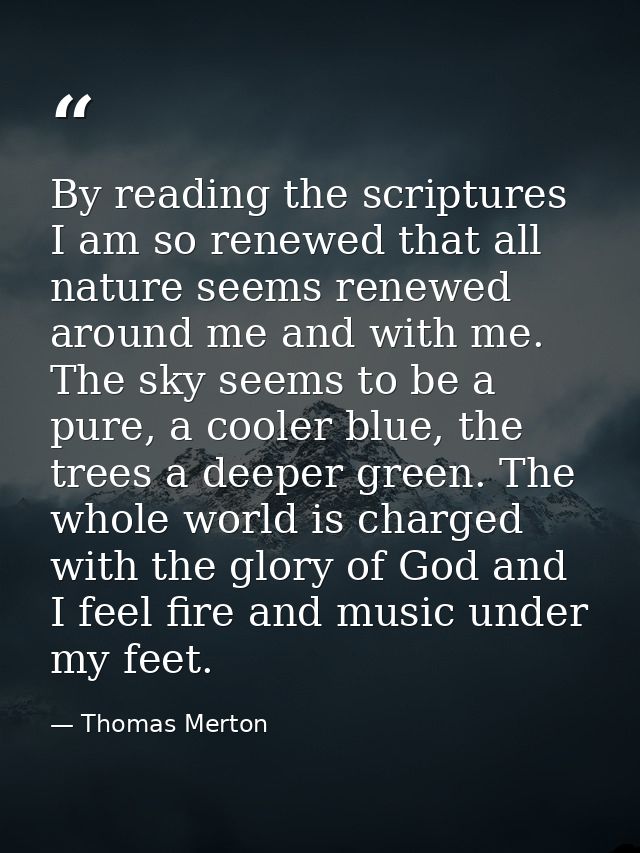 By reading the scriptures I am so renewed that all nature seems renewed around me and with me. The sky seems to be a pur — Thomas Merton