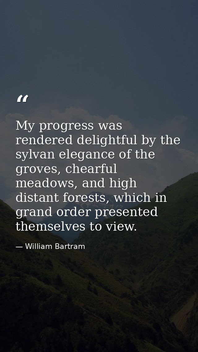 My progress was rendered delightful by the sylvan elegance of the groves, chearful meadows, and high distant forests, wh — William Bartram