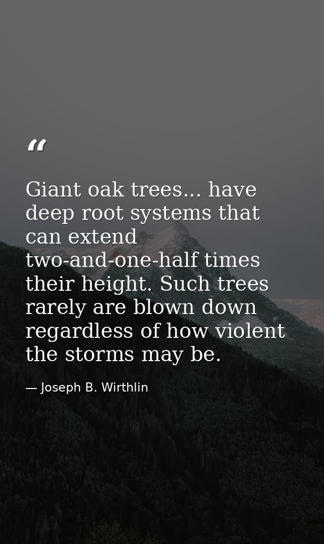 Giant oak trees... have deep root systems that can extend two-and-one-half times their height. Such trees rarely are blo — Joseph B. Wirthlin