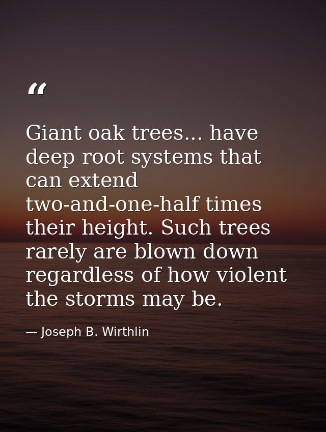 Giant oak trees... have deep root systems that can extend two-and-one-half times their height. Such trees rarely are blo — Joseph B. Wirthlin