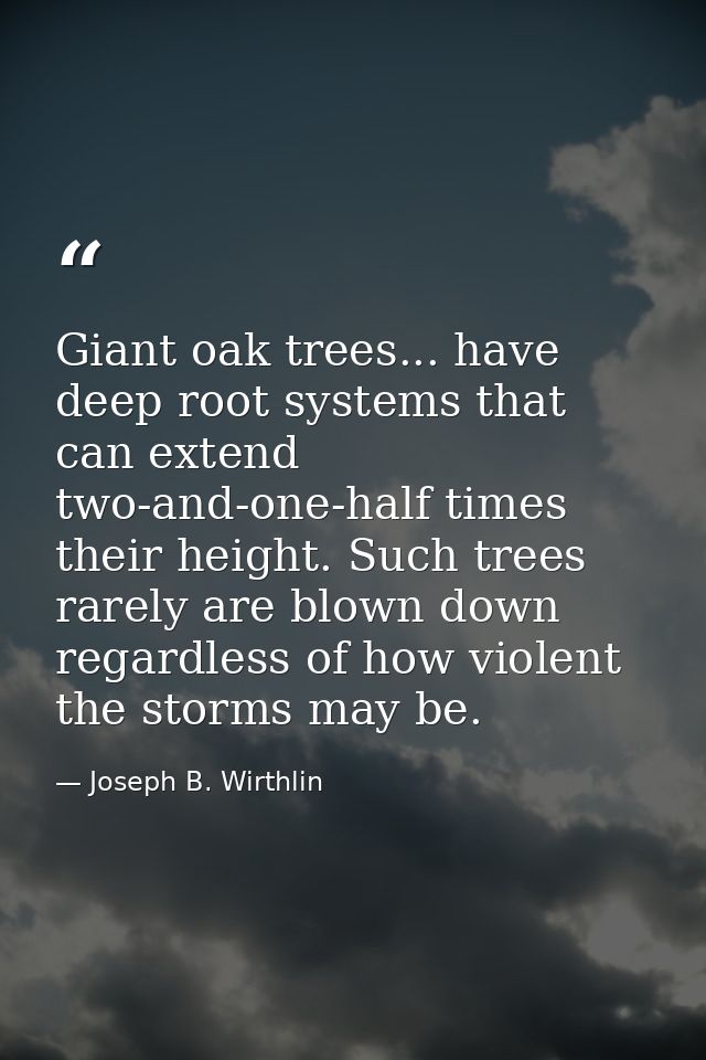 Giant oak trees... have deep root systems that can extend two-and-one-half times their height. Such trees rarely are blo — Joseph B. Wirthlin