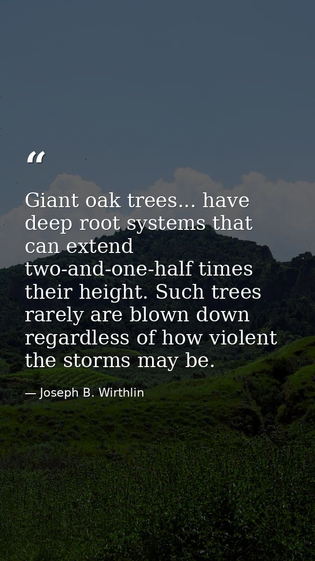 Giant oak trees... have deep root systems that can extend two-and-one-half times their height. Such trees rarely are blo — Joseph B. Wirthlin