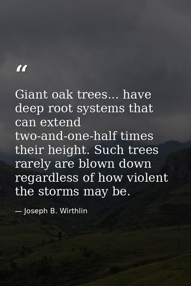 Giant oak trees... have deep root systems that can extend two-and-one-half times their height. Such trees rarely are blo — Joseph B. Wirthlin