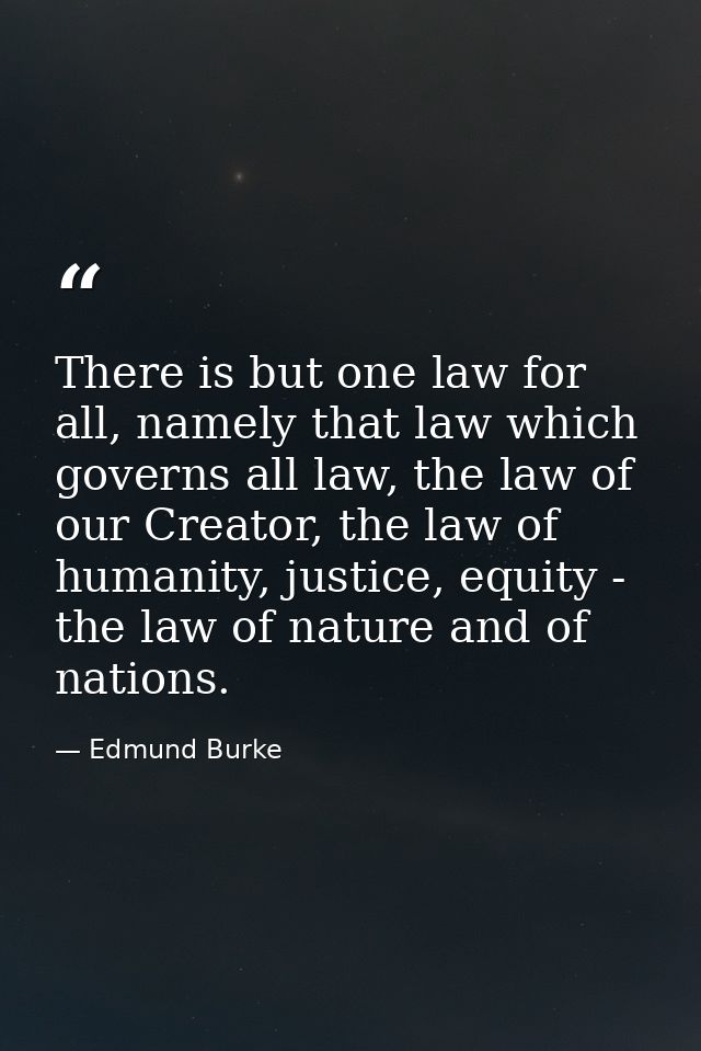 There is but one law for all, namely that law which governs all law, the law of our Creator, the law of humanity, justic — Edmund Burke