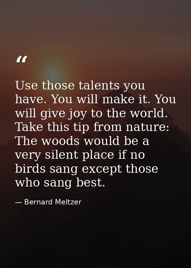 Use those talents you have. You will make it. You will give joy to the world. Take this tip from nature: The woods would — Bernard Meltzer