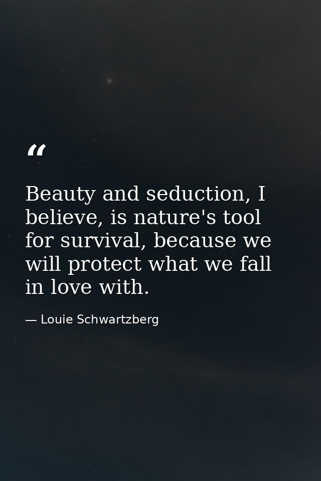 Beauty and seduction, I believe, is nature's tool for survival, because we will protect what we fall in love with. — Louie Schwartzberg
