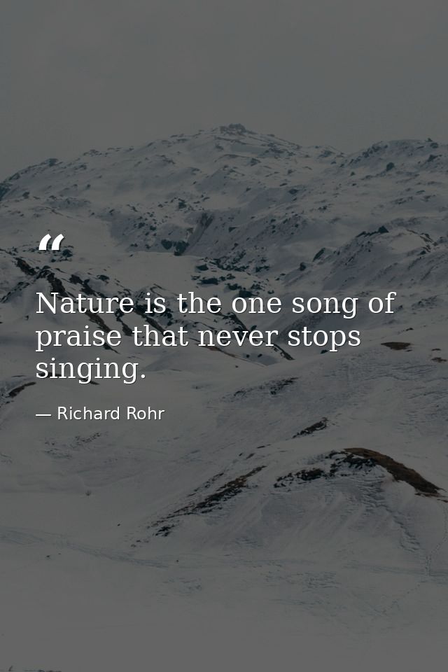 Nature is the one song of praise that never stops singing. — Richard Rohr