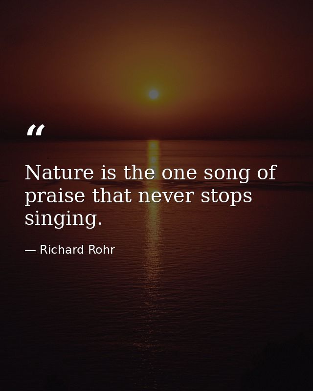 Nature is the one song of praise that never stops singing. — Richard Rohr