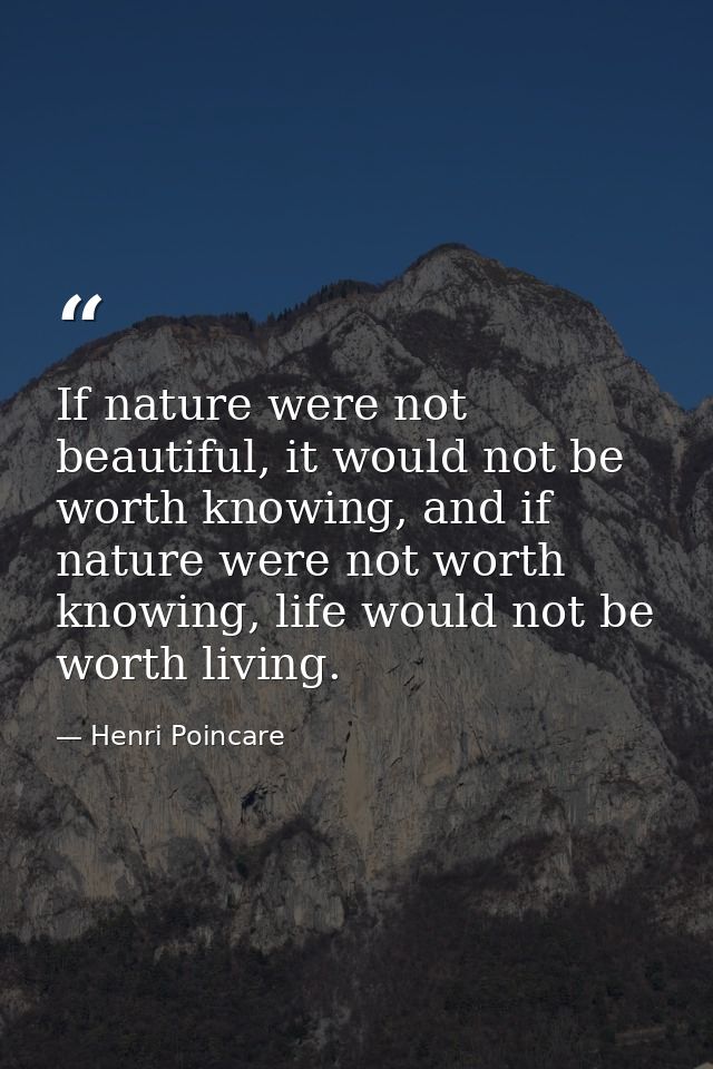 If nature were not beautiful, it would not be worth knowing, and if nature were not worth knowing, life would not be wor — Henri Poincare