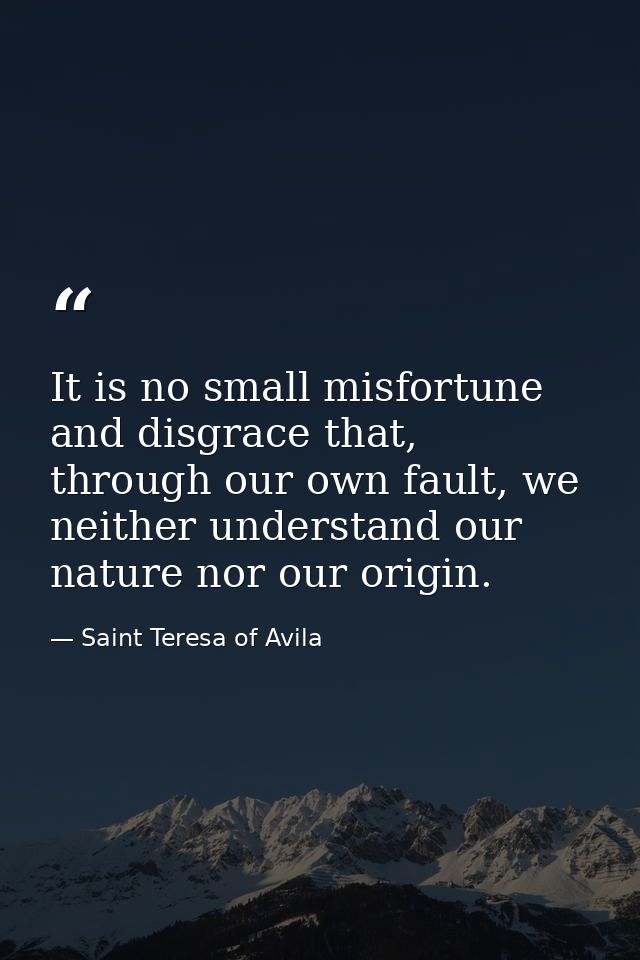 It is no small misfortune and disgrace that, through our own fault, we neither understand our nature nor our origin. — Saint Teresa of Avila