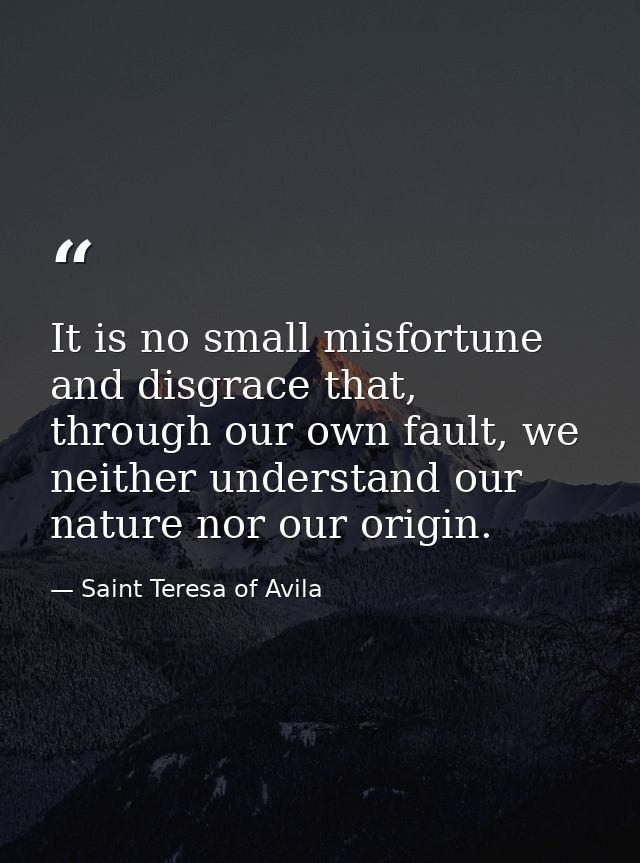 It is no small misfortune and disgrace that, through our own fault, we neither understand our nature nor our origin. — Saint Teresa of Avila