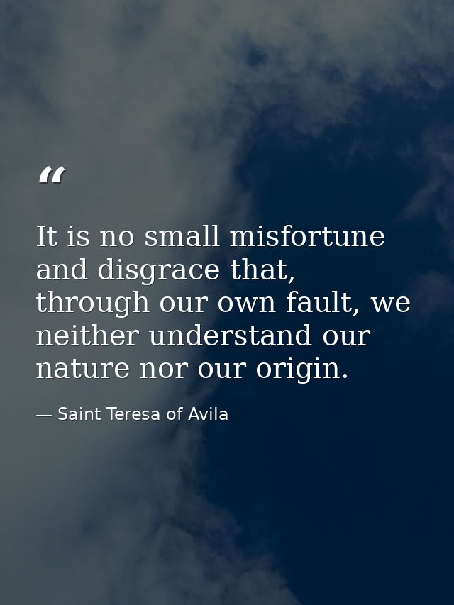 It is no small misfortune and disgrace that, through our own fault, we neither understand our nature nor our origin. — Saint Teresa of Avila
