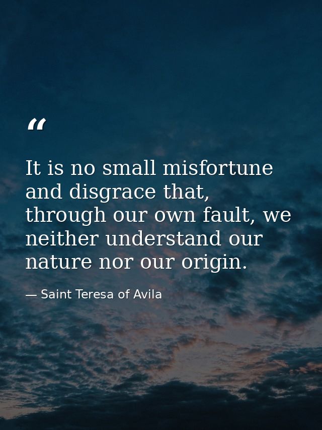 It is no small misfortune and disgrace that, through our own fault, we neither understand our nature nor our origin. — Saint Teresa of Avila