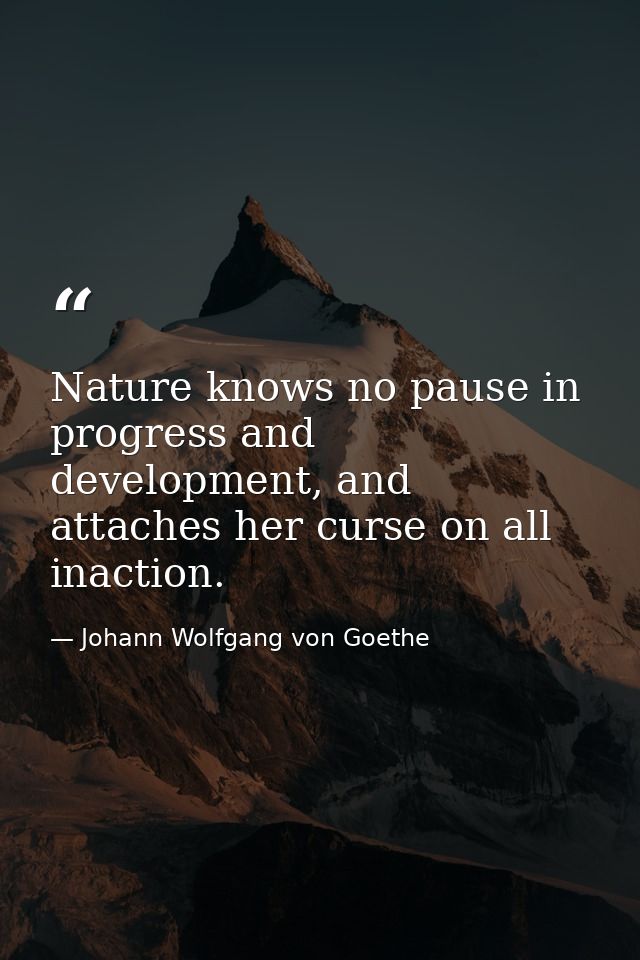 Nature knows no pause in progress and development, and attaches her curse on all inaction. — Johann Wolfgang von Goethe