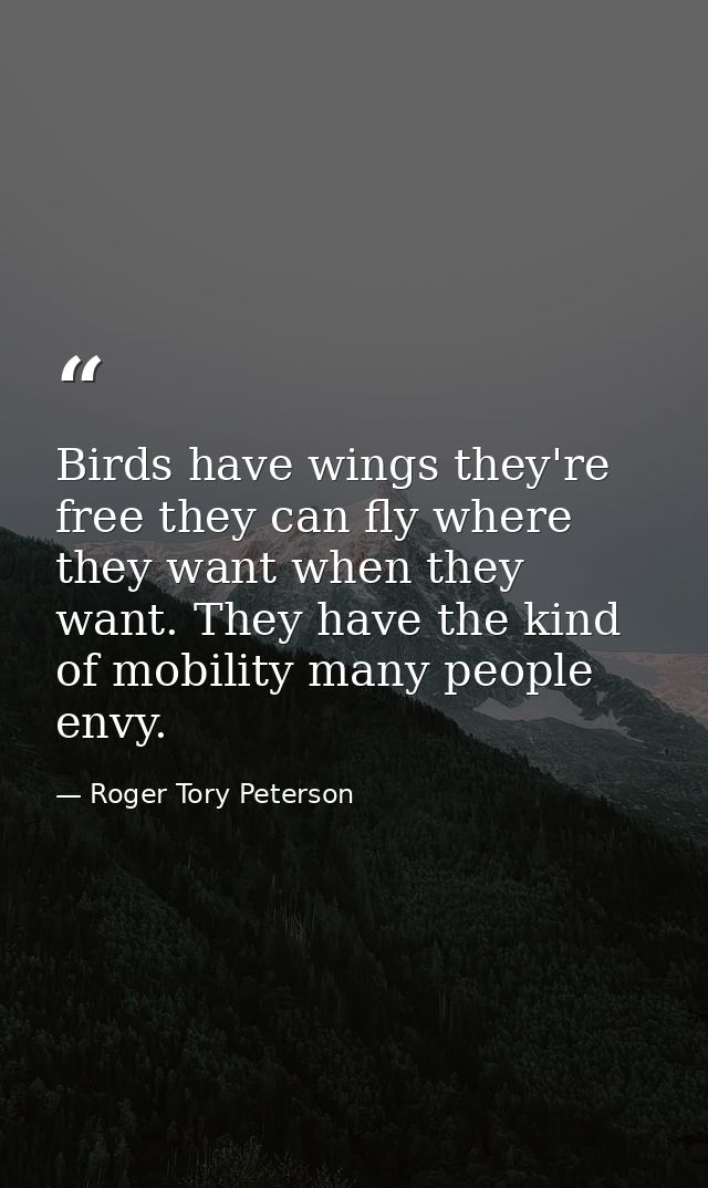 Birds have wings they're free they can fly where they want when they want. They have the kind of mobility many people en — Roger Tory Peterson