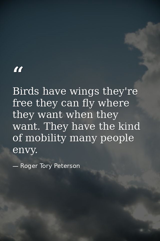 Birds have wings they're free they can fly where they want when they want. They have the kind of mobility many people en — Roger Tory Peterson