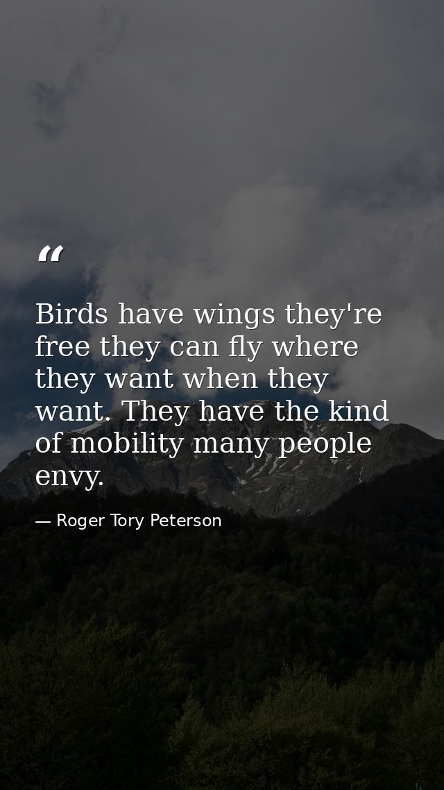 Birds have wings they're free they can fly where they want when they want. They have the kind of mobility many people en — Roger Tory Peterson