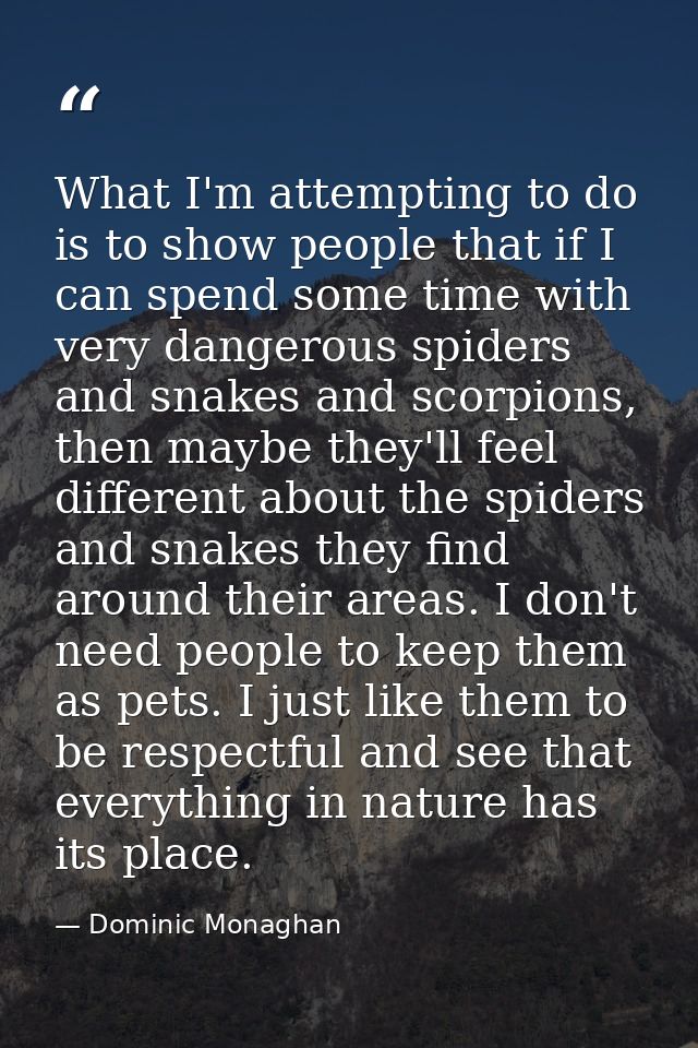 What I'm attempting to do is to show people that if I can spend some time with very dangerous spiders and snakes and sco — Dominic Monaghan