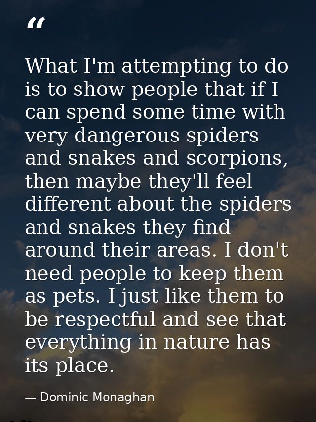 What I'm attempting to do is to show people that if I can spend some time with very dangerous spiders and snakes and sco — Dominic Monaghan