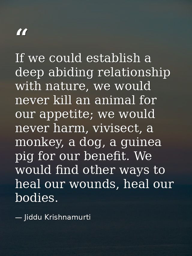 If we could establish a deep abiding relationship with nature, we would never kill an animal for our appetite; we would  — Jiddu Krishnamurti